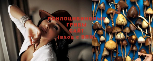 эйфоретик Лихославль