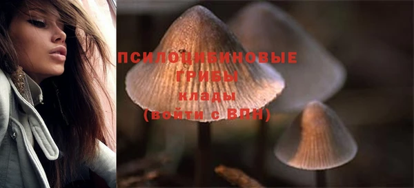 кокаин перу Ладушкин