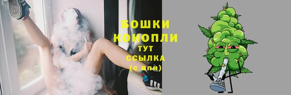 мдпв Лиски