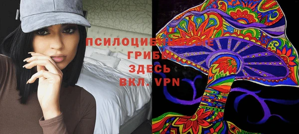 мдпв Лиски