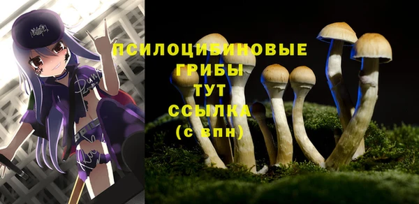эйфоретик Лихославль