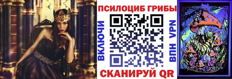 Галлюциногенные грибы Psilocybine cubensis Михайловка