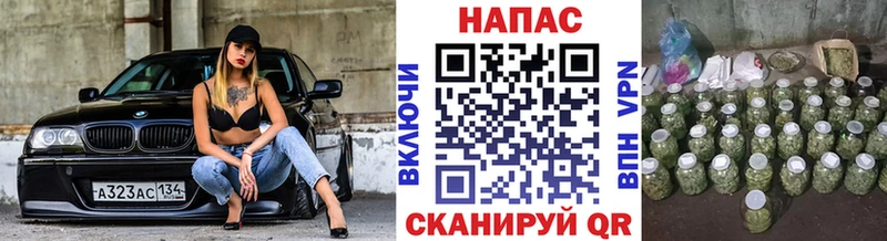 наркота  Михайловка  блэк спрут зеркало  Марихуана MAZAR 